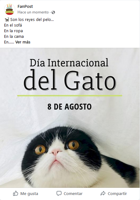 Día del Gato - Post Posteum