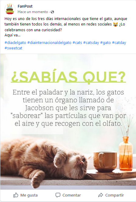 Día del gato - agosto - post Posteum