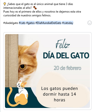 Post Facebook Día del Gato