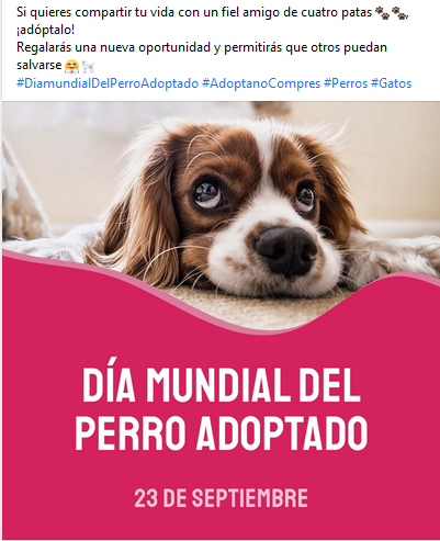 Día del Perro Adoptado