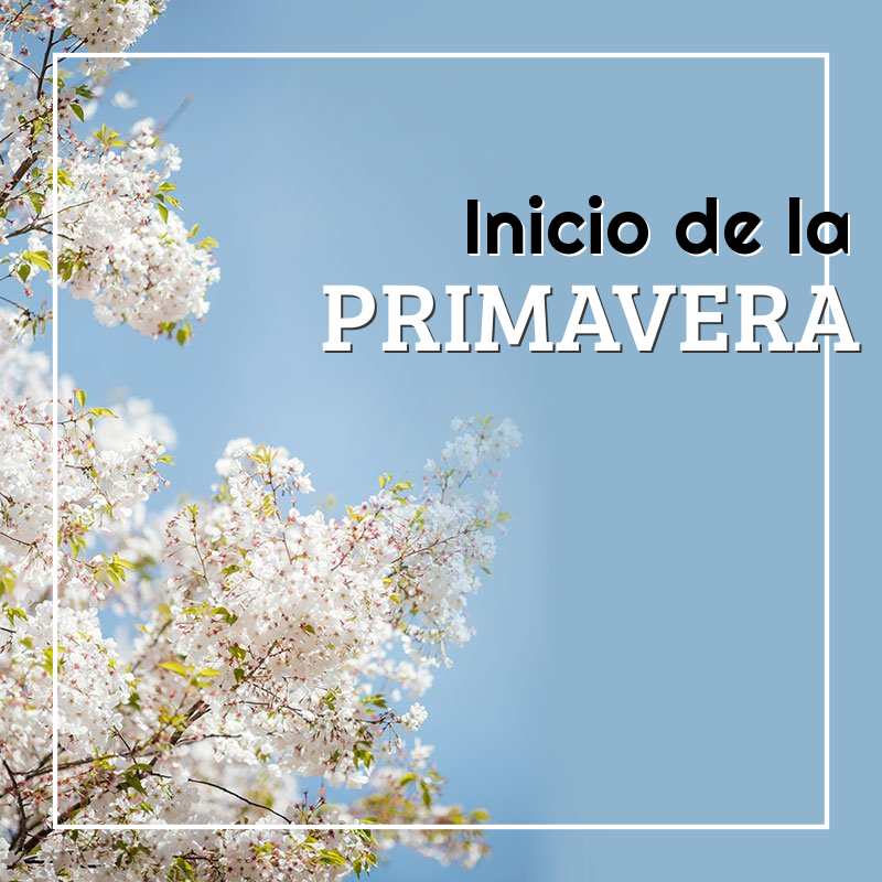 Imagen inicio de la Primavera Posteum